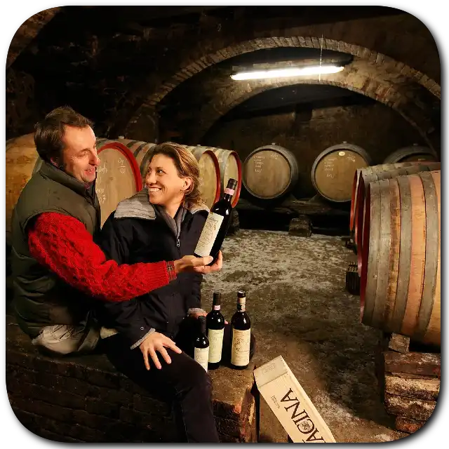 Pacina - Natural Wines – Natural Wine Dealers