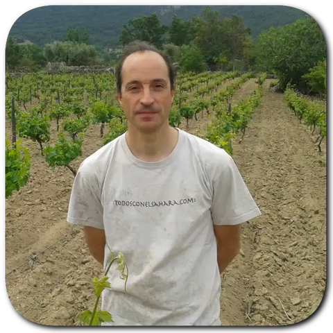 Vinos Ambiz Fabio
