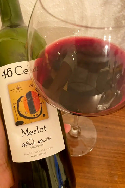 Alfredo Maestro Cepas 2021 bottle and glass - Natural Wine Dealers