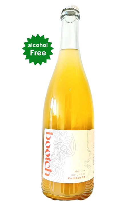 A bottle of Bootch Kombucha - Natural Wine Dealers