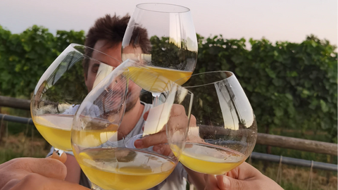 Selected natural wines