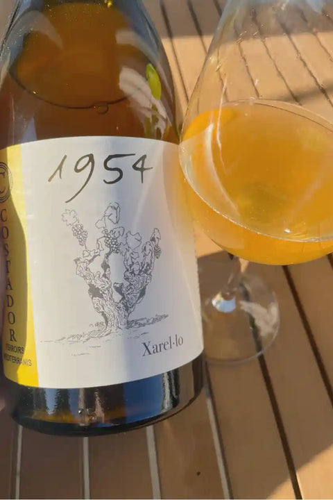 Costador Xarello 1954 2023 bottle and glass - Natural Wine Dealers