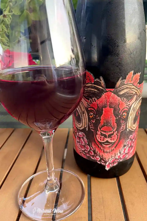 Domaine Muller Koeberle La Geiss 2022 bottle and glass - Natural WIne Dealers