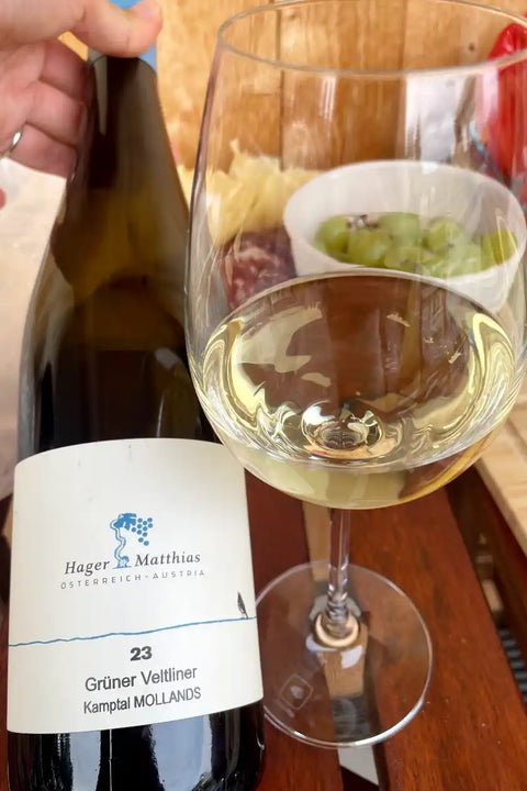 Grüner Veltliner Mollands 2024