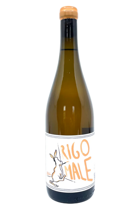 Bottle of I Forestieri Rigomale 2024 - Natural Wine Dealers