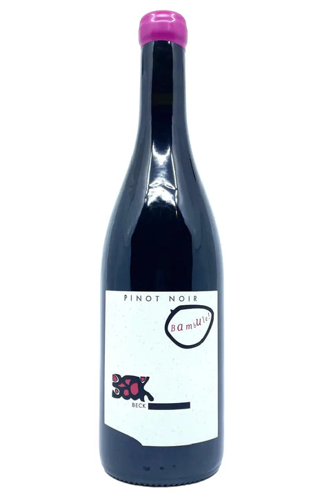 Judith Beck Pinot Noir Bambule 2022 bottle - Natural Wine Dealers