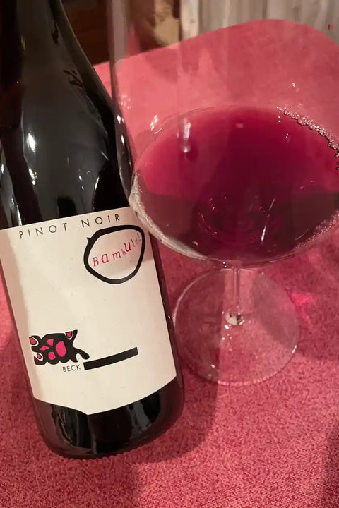 Judith Beck Pinot Noir Bambule 2022 bottle and glass - Natural Wine Dealers