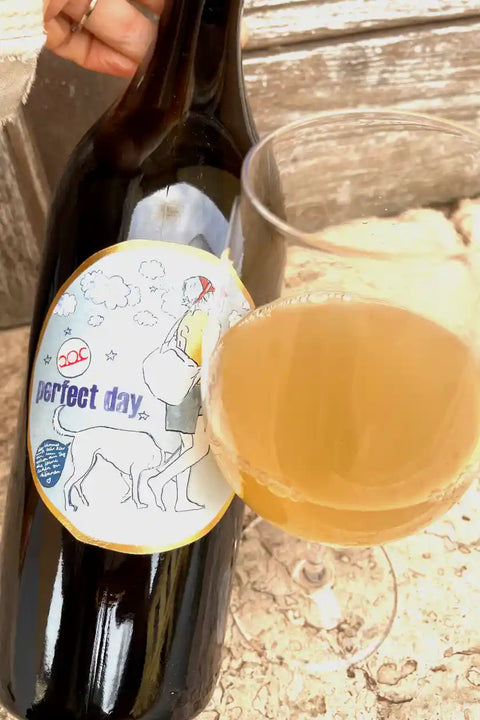 Pittnauer Perfect Day 2023 bottle and glass - Natural Wine Dealers