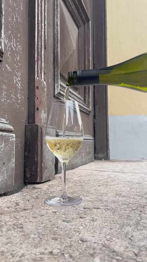 Judith Beck Weissburgunder 2021 pouring video - Natural Wine Dealers