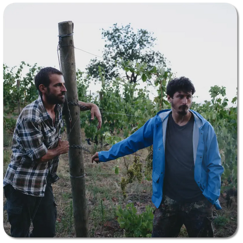 Agricola I Forestieri