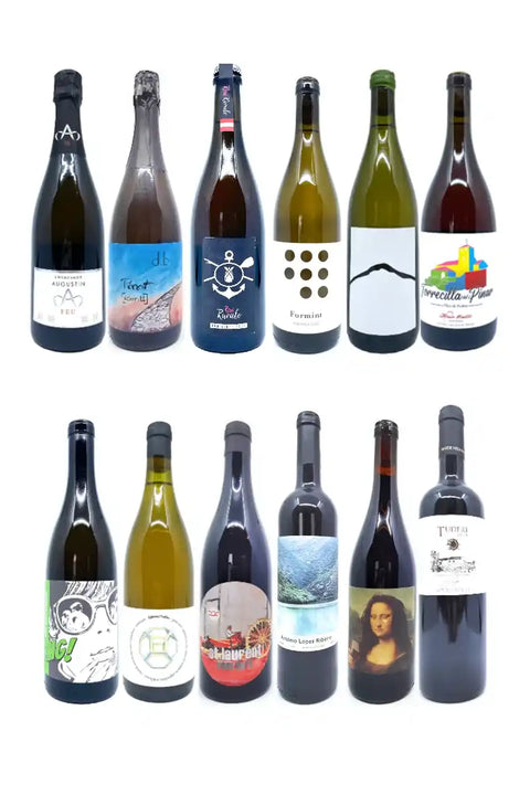 Celebrate in Style 2025- Set Package 12 Natural Wines - Natural Wine Dealers
