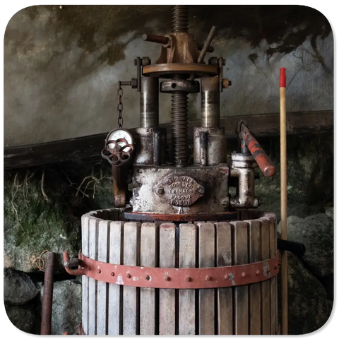 I Foresteri Vintage wine press against a textured wall