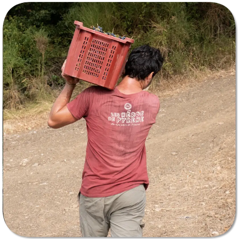 Man carrying a red crate on his head along a dirt path with greenery in the background