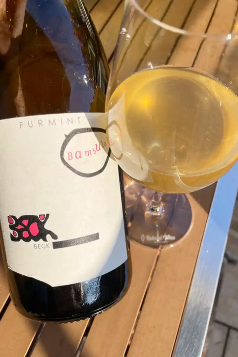 Bottle and glass of Judith Beck Furmint 2023 - Natural Wine Dealers 