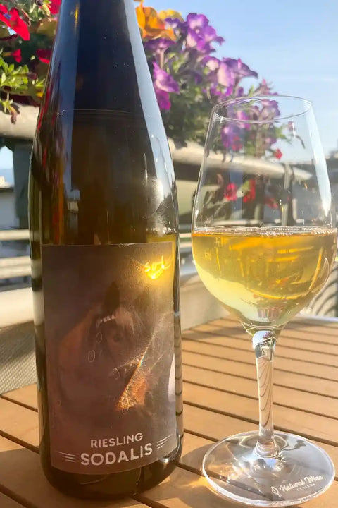 Bottle and a glass of Riesling Sodalis from Michael Gindl - Natural Wine Dealers
