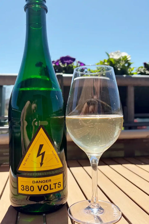 Milan Nestarec Danger 380 volts | Natural Wine Dealers Milan Nestarec Danger 380 volts | Natural Wine Dealers
