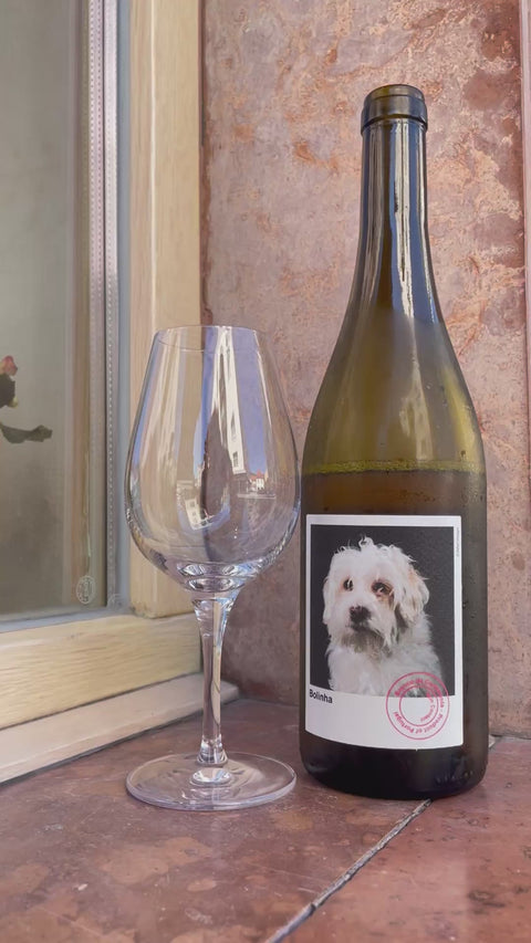 Pouring a glass of Casa de Mouraz - Bolinha 2023 - Natural Wine Dealers