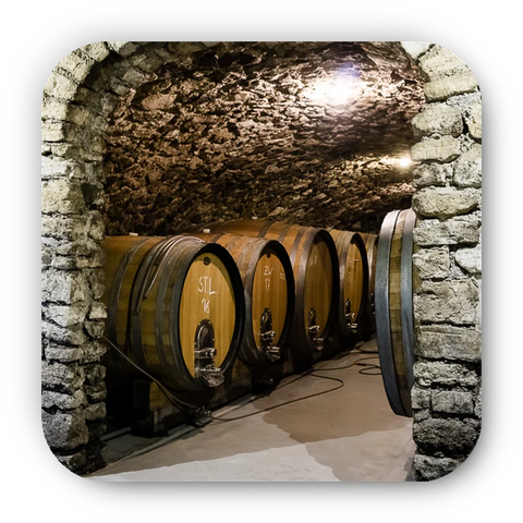 Traditional stone wine cellar at Weninger winery in Horitschon, Burgenland with large wooden barrels for natural wine aging