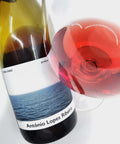 Antonio Lopes Ribeiro - Vinho Tinto 2020 - Natural Wine Dealers